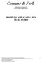 Comune di Forlì. DIREZIONE GENERALE Unità sviluppo organizzativo DISCIPLINA APPLICATIVA DEL TELELAVORO