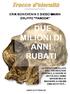 DUE MILIONI DI ANNI RUBATI