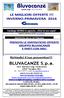 BLUVACANZE S.p.a. Via S. Martino 6 ang. Via Butinone 24047 Treviglio ( BG ) Tel. 0363-305325 E-MAIL treviglio@bluvacanze.it