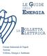LE GUIDE DELL ENERGIA BOLLETTA ELETTRICA. Unione Industriali di Napoli Sezione Utilities, Energia e Ambiente
