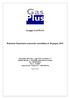 Gruppo GAS PLUS. Relazione finanziaria semestrale consolidata al 30 giugno 2014