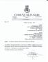 COMUNE DI ZUNGRI PROVINCIA DI VIBO V AL. Part. IV A 00327070793 CAP 89867