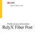 Perni in fibra di vetro. Profilo tecnico del prodotto RelyX Fiber Post