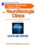 AZIENDA OSPEDALIERA DI PADOVA. Neuroscienze e Organi di Senso. Responsabile: P r o f. s s a M a r i n a S a l a d i n i Tel. 049 8213600 8213601