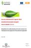 Decreto Ministeriale 6 agosto 2010 Investimenti innovativi energetici Linee di attività 1.2 e 2.1