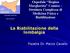 La Riabilitazione della lombalgia