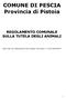 COMUNE DI PESCIA Provincia di Pistoia REGOLAMENTO COMUNALE SULLA TUTELA DEGLI ANIMALI