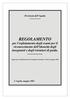 REGOLAMENTO per l espletamento degli esami per il riconoscimento dell idoneità degli insegnanti e degli istruttori di guida.