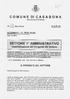 SETTORE I' DI CASABONA. sry. Determinazione del Dirigente del Settore IL DIRIGENTE DEL SETTORE COPIA. (Provincia di Crotone)