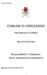 Comune di Verolengo COMUNE DI VEROLENGO PROVINCIA DI TORINO SERVIZIO FINANZIARIO REGOLAMENTO COMUNALE PER IL SERVIZIO DI ECONOMATO