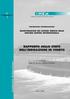 RAPPORTO SULLO STATO DELL IRRIGAZIONE IN VENETO