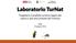 Laboratorio TurNat. Progettare il prodotto turistico legato alla natura e alle aree protette del Trentino. Malè 16 giugno 2015