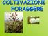 Col il termine di foraggere si intendono tutte le specie vegetali il cui prodotto principale viene utilizzato nell alimentazione del bestiame.