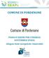 COMUNE DI PORDENONE. PIANO D AZIONE PER L ENERGIA SOSTENIBILE (PAES) Allegato fonti energetiche rinnovabili