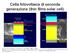 Cella fotovoltaica di seconda generazione (thin films solar cell)