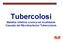 Tubercolosi. Malattia infettiva cronica ed invalidante Causata dal Mycobacteriun Tuberculosis D A P