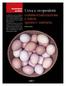 Uova e ovoprodotti: commercializzazione e tutela igienico sanitaria