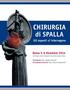 CHIRURGIA. di SPALLA. Gli esperti si interrogano. Roma 5-6 dicembre 2014. Presidente Prof. Stefano Gumina Presidente Onorario Prof. Franco Postacchini