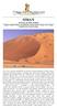 OMAN. Il deserto del Rub Al Khali Viaggio completo Oman, con spedizione nei due deserti e lungo coste selvagge 15 giorni (con 8 notti in tenda)
