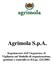 Agrimola S.p.A. Regolamento dell Organismo di Vigilanza sul Modello di organizzazione, gestione e controllo ex D.Lgs. 231/2001