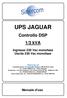 UPS JAGUAR. Controllo DSP 1/3 kva. Ingresso 230 Vac monofase Uscita 230 Vac monofase