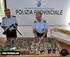 PROVINCIA REGIONALE DI PALERMO CORPO DI POLIZIA PROVINCIALE. Allegato B al Regolamento di Polizia Provinciale