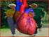 Tachicardia ventricolare di nuova insorgenza durante stimolazione cardiaca. biventricolare. RIASSUNTO. Introduzione