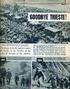 G O VERN O MILITARE ALLEATO ZONA BRITANNICO - AMERICANA TERRITORIO LIBERO DI TRIESTE GAZZETTA UFFICIALE. N. 4- - 11 fe b b ra io 1 9 5 4