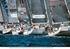 Regata per imbarcazioni a vela d altura 9 NOVEMBRE 2014