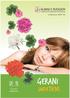 ALBANI E RUGGIERI YOUNG PLANTS, BREEDING & PRODUCTION. collezione 2007-08. Gerani. Impatiens. la ricerca mediterranea