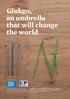 Ginkgo, an umbrella that will change the world