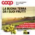 LA BUONA TERRA DÀ I SUOI FRUTTI