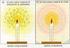 Natura ondulatoria della luce. Natura corpuscolare della luce