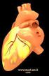 Appunti di Cardiochirurgia Capitolo 8 Tumori Cardiaci pag- 1 - Appunti di Cardiochirurgia. Capitolo 8. Tumori Cardiaci