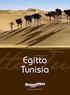 TUNISIA IN QUAD. Il viaggio: Punti forti : Il Programma: