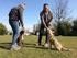 Corsi obbligatori sul Benessere animale Provincia di NUORO - Annualità 2010