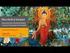 1 KUNPEN LAMA GANGCHEN Buddismo tibetano 20 ottobre 1989 Via Marco Polo n Milano