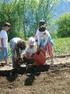 L'AGRITURISMO E L'AGRICOLTURA MULTIFUNZIONALE VERSO EXPO 2015