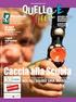 Dott.ssa D.Sansone S.C. Diabetologia ed Endocrinologia ASLCN1