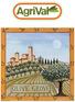 Agri TRE. Agrival TRE Pettine raccogli-olive con 9 dita disposte in linea larghezza cm 13