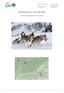 Avventura con i cani da slitta. Guida in inglese/francese in loco - Canada
