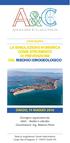 LA SIMULAZIONE NUMERICA COME STRUMENTO DI PREVENZIONE DEL RISCHIO IDROGEOLOGICO