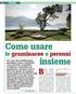 Come usare. insieme. Barbara Negretti, le graminacee e perenni