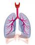 L asma bronchiale In Pediatria