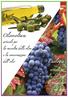 Olivocoltura. Enologia. articoli per. la raccolta delle olive. e la conservazione. dell olio. la raccolta dell uva. e la produzione.