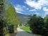 Itinerari di accesso : da Carciato, frazione di Dimaro per la Val dei Cavai, sentiero n.335. tempo progressivo in ore.
