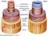 Le arterie. Struttura delle arterie e delle vene. Arterie. Vene. Lezione serbatoi di sangue pochi strati di tessuto muscolare liscio e