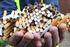 Prezzi Tabacchi - Sigarette Tariffe aggiornate al 3 gennaio Cod Denominazione commerciale Per Kg Prezzo Confezione