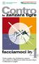 Contro. facciamoci in. la zanzara tigre. Tutto quello che dobbiamo sapere per evitare la diffusione della zanzara tigre e difenderci meglio