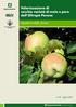 Testi a cura di Tommaso Eccher 1 Rossana Pontiroli 2 Marco Maffeo 3. Università degli Studi di Milano - Dipartimento di Produzione Vegetale 2